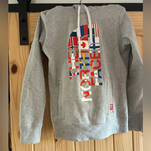 The North Face flag hoodie size M gray - Picture 1 of 10